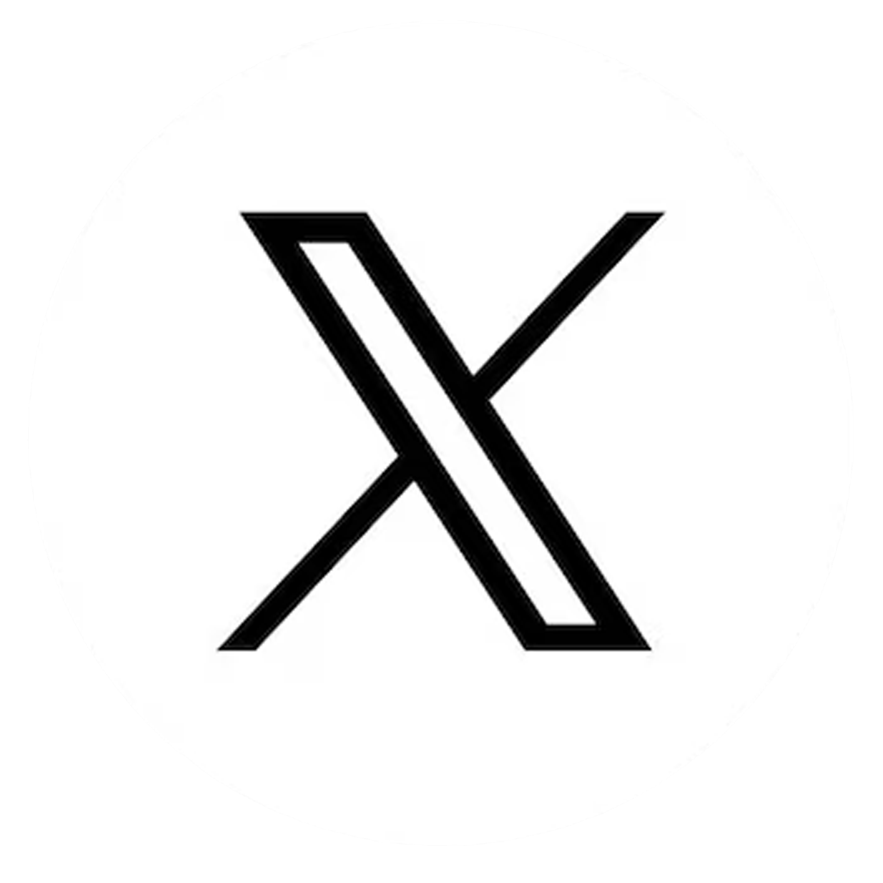 X Icon